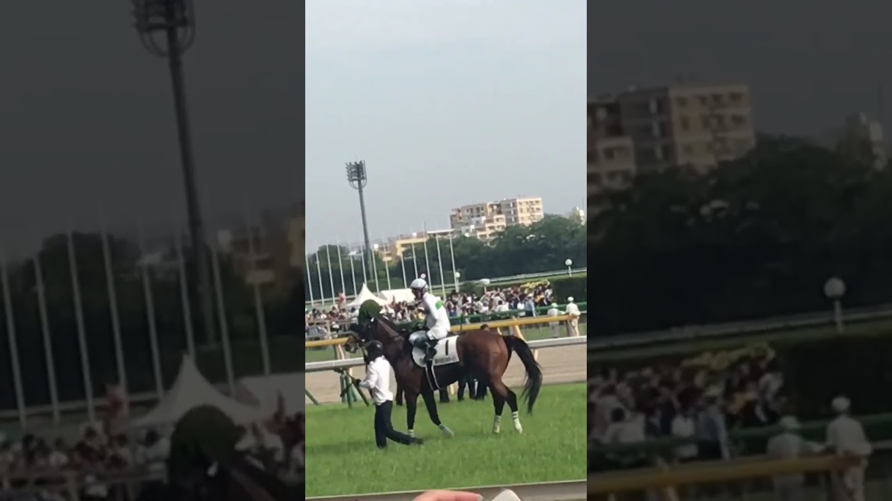2019年第86回東京優駿優勝馬ロジャーバローズ #競馬 #競馬予想 #千鳥 #shorts #こしゃまる