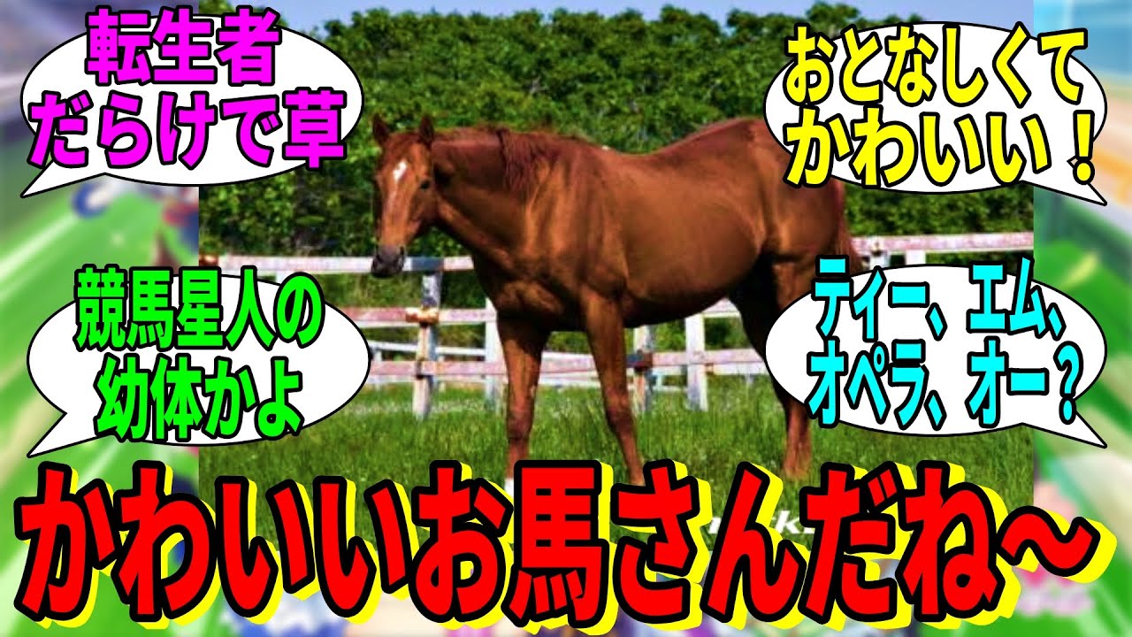 【競馬の反応集】「見て、かわいいお馬さんがいるよ！」に対する視聴者の反応集