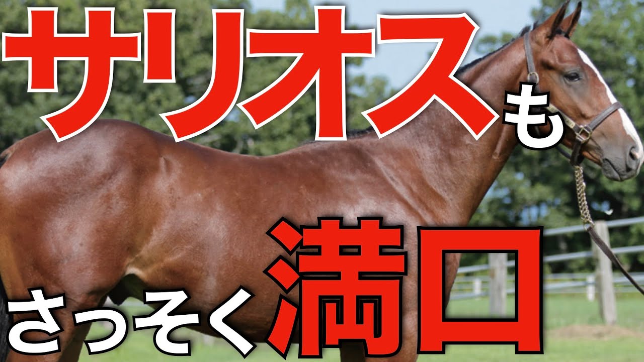 【評価高し】新種牡馬サリオスが早くも満口！新たな人気種牡馬たちをご紹介。