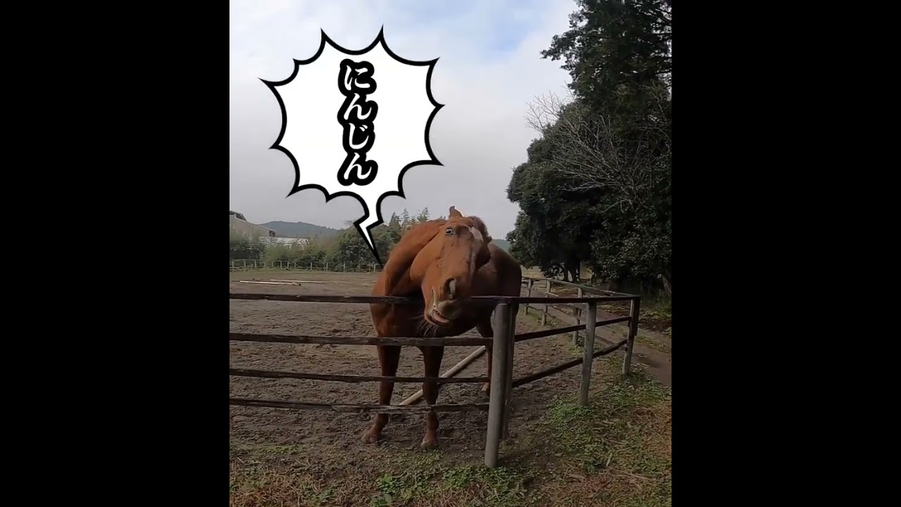 にんじんが欲しいゴットフリートくん