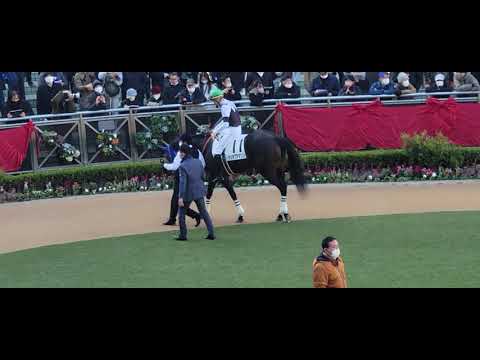 中山初見参❗バウルジャン・ムルザバエフ騎手…GⅠホープフルステークスまで勝っちゃった