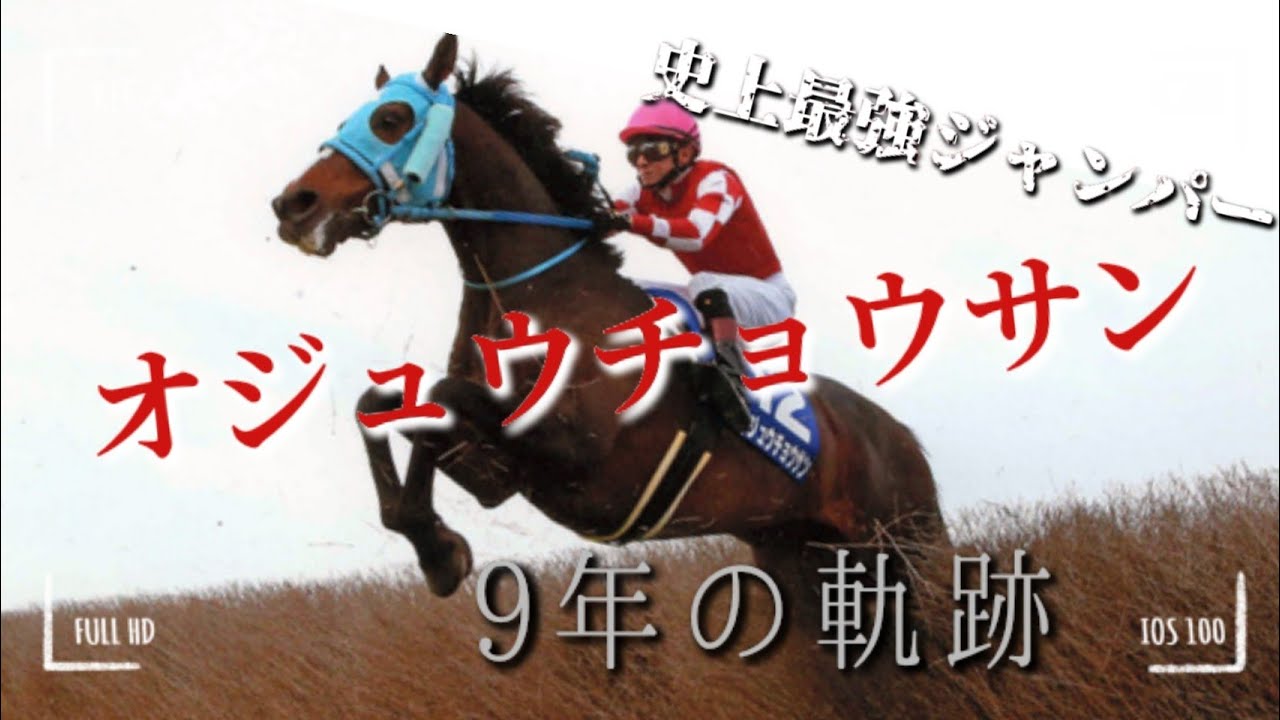 【競馬MAD】オジュウチョウサン物語「無我夢中」