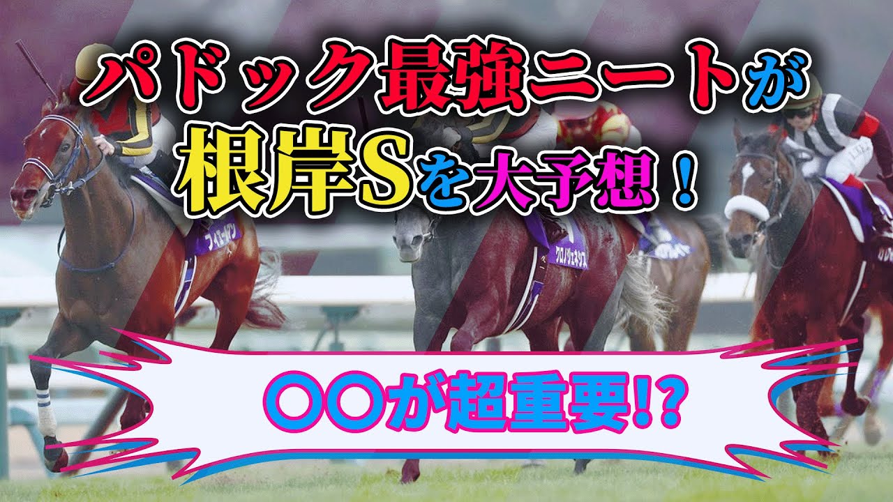 【根岸S 2023 予想】〇〇が大事！必見根岸Sの特徴！ニートの根岸ステークス競馬予想　#ニート #競馬予想 #パドック #根岸s