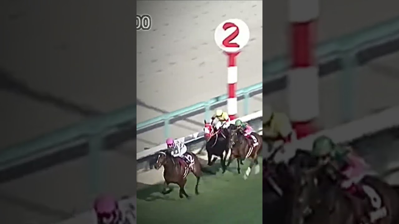 こやつ強すぎんか、、 #競馬 #競馬予想 #こしゃまる
