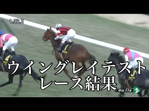 1/7 中山11R ニューイヤーS レース結果【ウイングレイテスト】