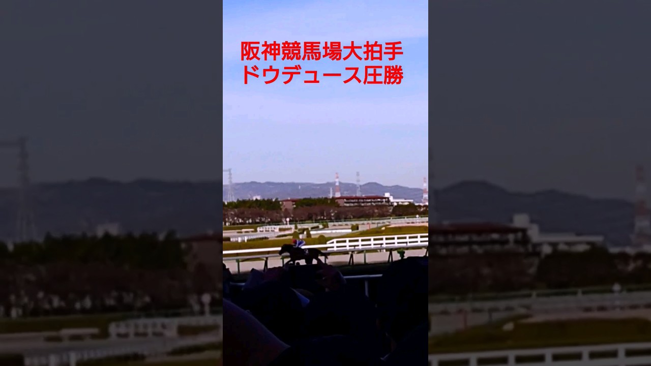 ドウデュース！現地阪神競馬場がユタカコール京都記念