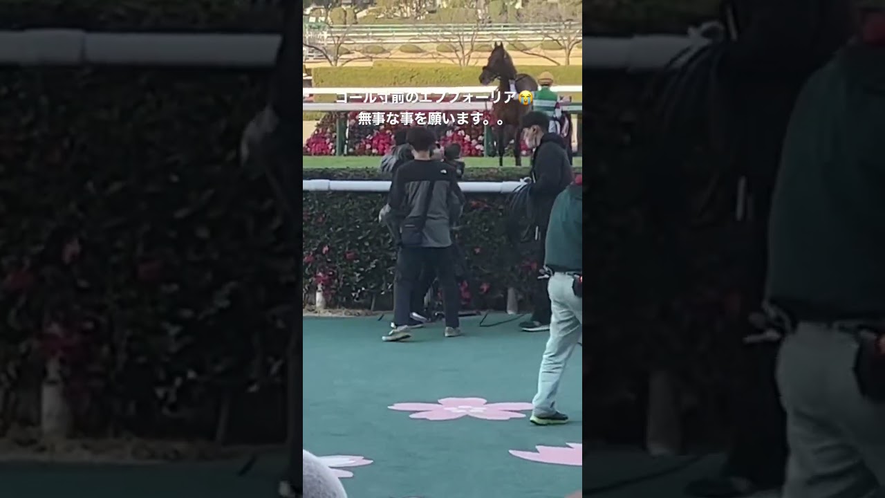 京都記念・ゴール寸前のエフフォーリア
