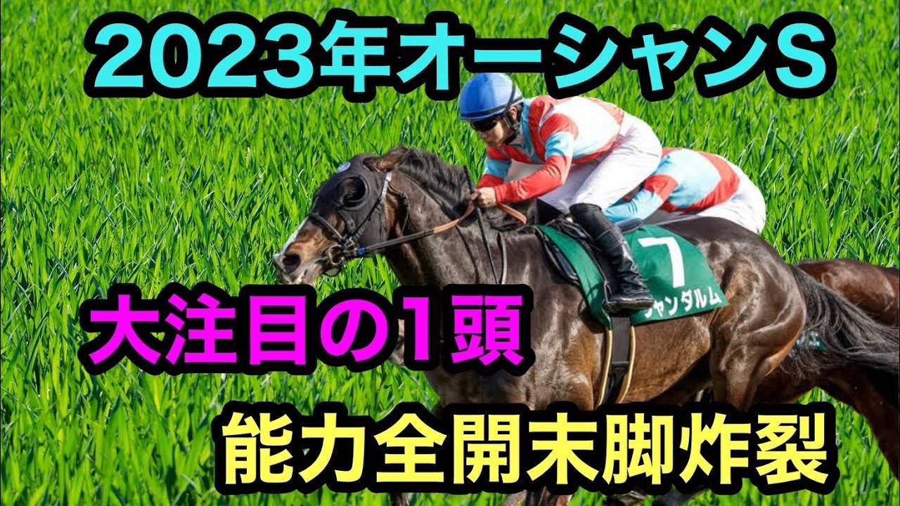 【先取りオーシャンS】短距離界に新たなる注目株がいた！高松宮記念の前哨戦に切れ込む！【電撃スプリント戦】