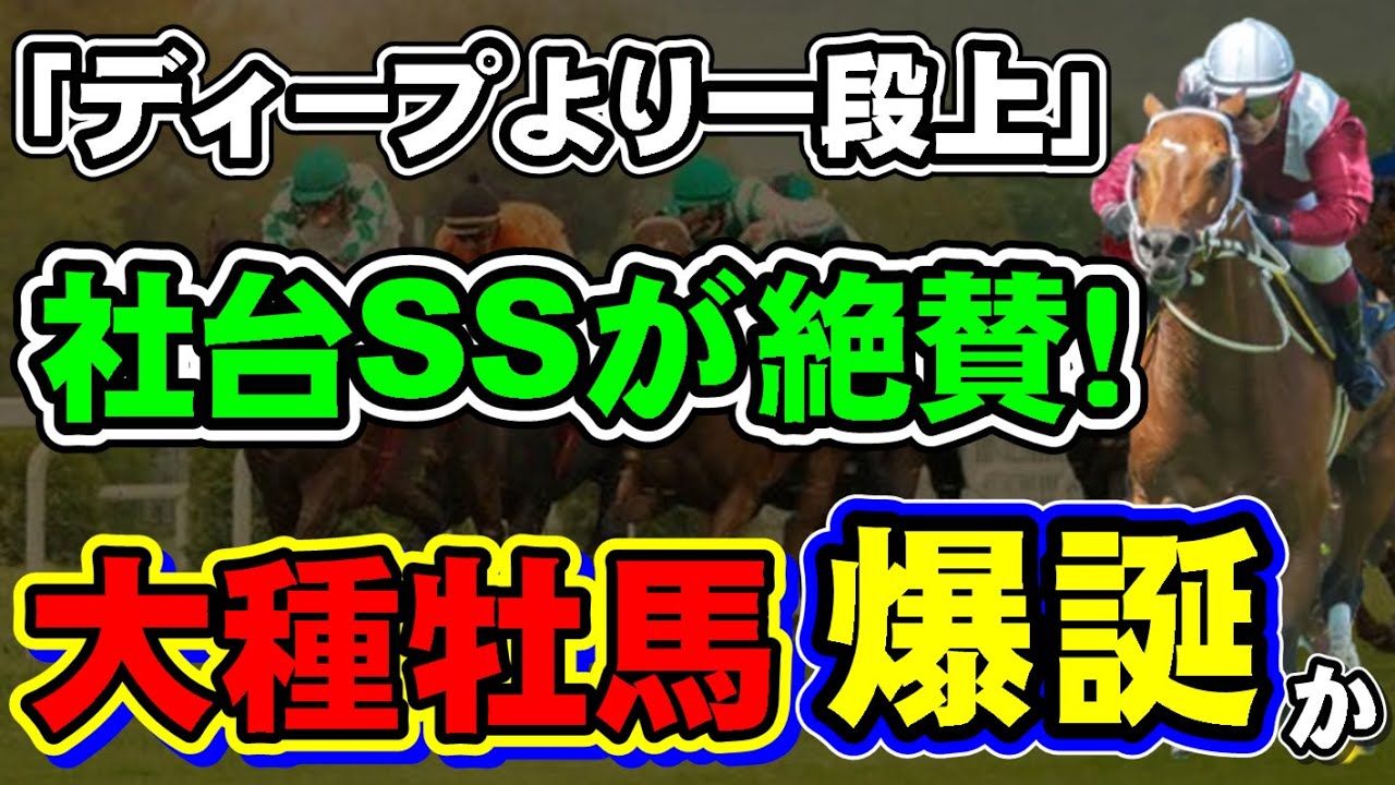 【超大物産駒続々】社台SSが大絶賛！ディープインパクトより上と評される新種牡馬とは？