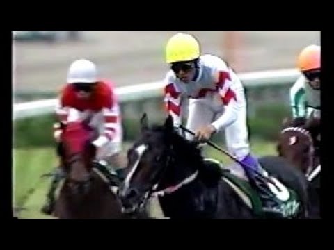 第１０回　セントウルステークス （ＧⅢ） 　フジノマッケンオー　武豊　1996.9.29　　出走馬：ビコーアルファー、コクトジュリアン、スギノハヤカゼ、エイティグロー、レザームーン他