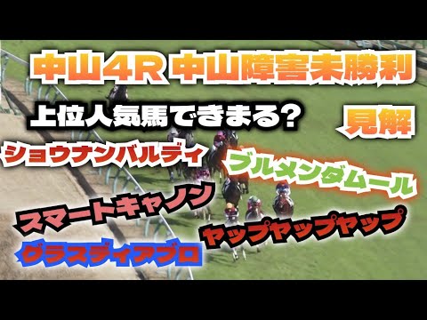 1月8日 【競馬障害予想】中山4R 中山障害未勝利 見解