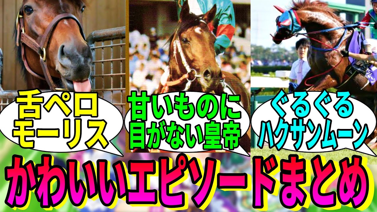 【競馬の反応集】「競走馬のかわいいエピソード教えて」に対する視聴者の反応集