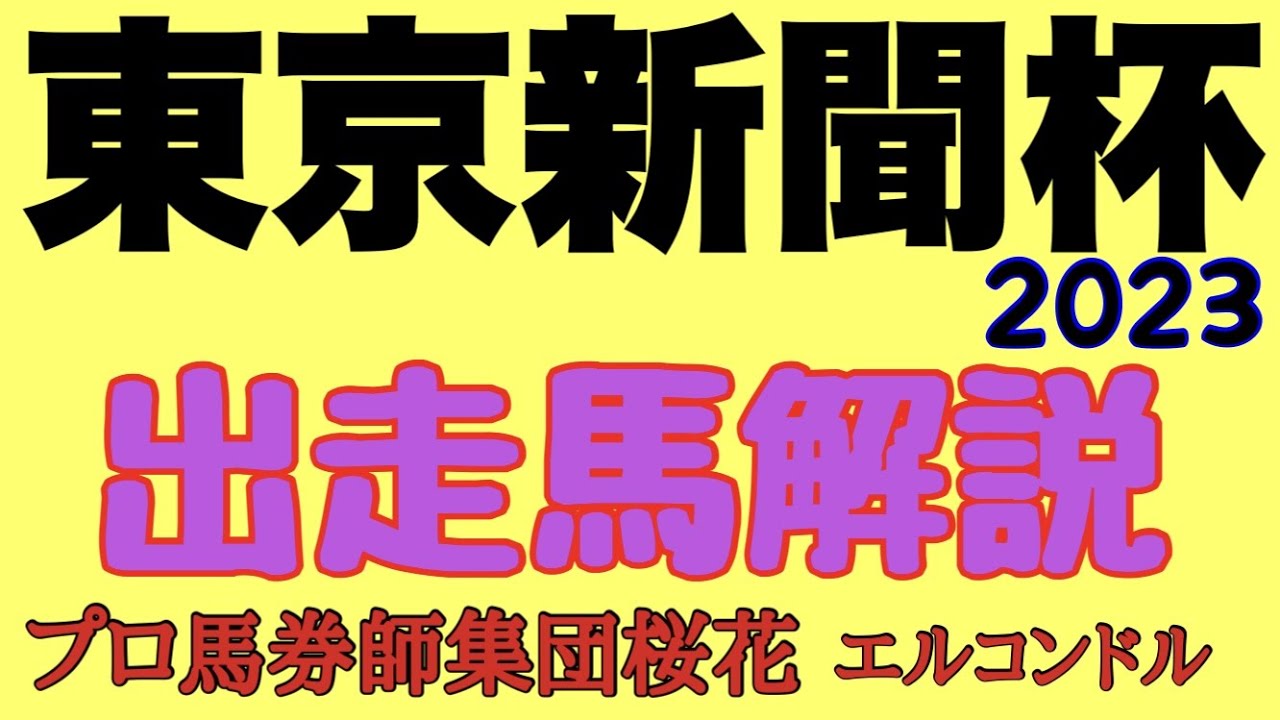 プロ馬券師集団桜花エルコンドル氏の東京新聞杯2023出走馬解説！！マイルの古馬と明け4歳の実力馬揃う！ジャスティンカフェにナミュールなど実力と人気ある馬が揃い楽しみなメンバーが揃った！