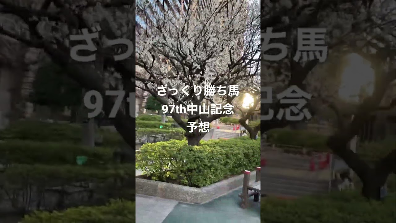 馬券2023/ざっくり97thG2中山記念予想/5歳ハーツクライとオルフェーブル産駒対決に４歳秋華賞馬キングカメハメハ産駒が参戦。馬場が道悪になったら、ジャスタウェイやモーリス産駒が本領発揮。新手は？
