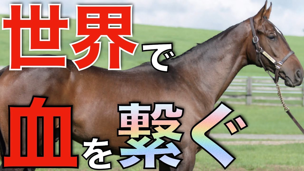【発展しそう】世界で熱いのはディープ系だけじゃない！あの馬が欧米でG1馬輩出。