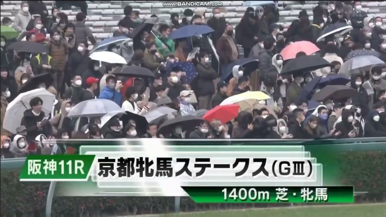 2023年 京都牝馬ステークス（GIII）ファンファーレ