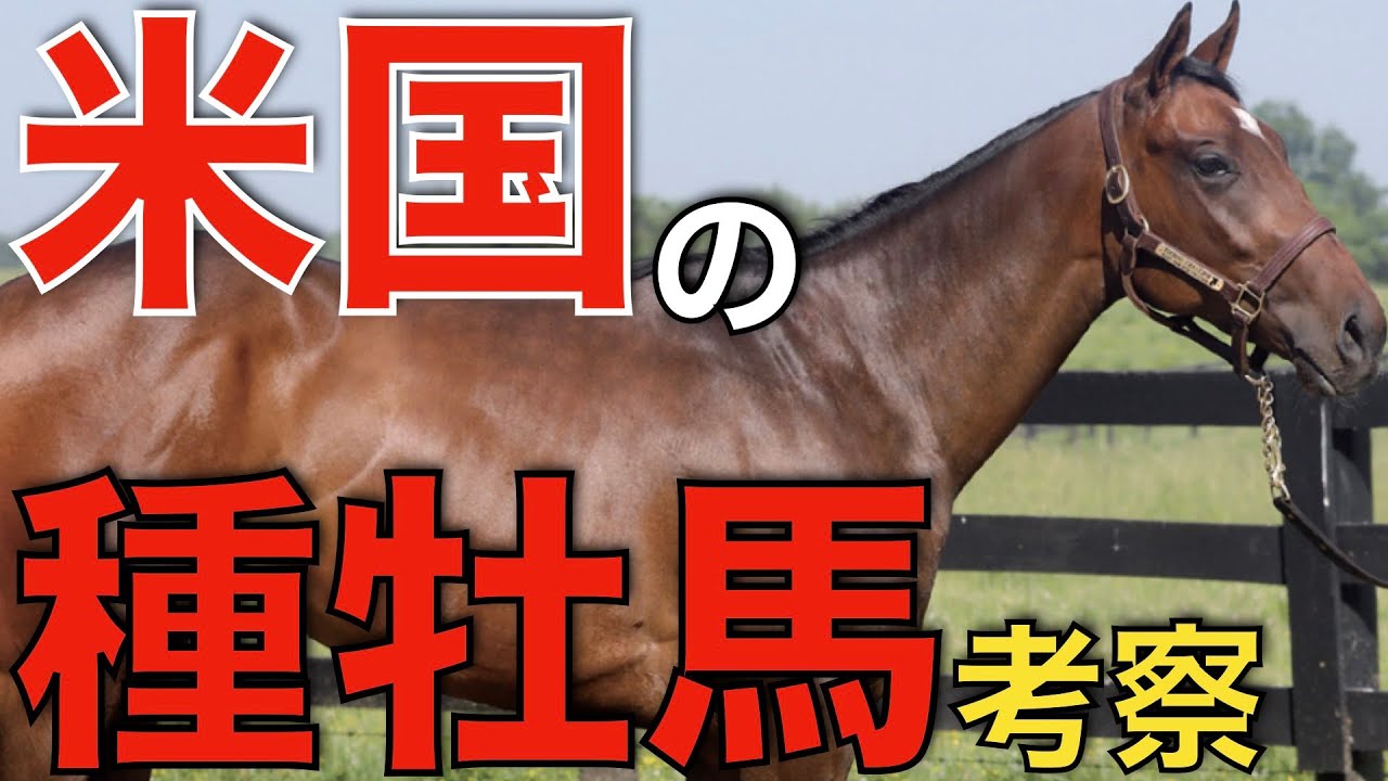 米国で4年連続リーディングサイアー誕生！ただ新種牡馬も凄まじい。