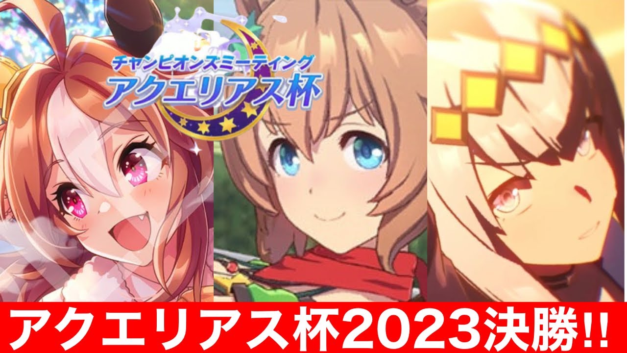 【ウマ娘】 絶対に負けられないアクエリアス杯 決勝‼【パカライブ】