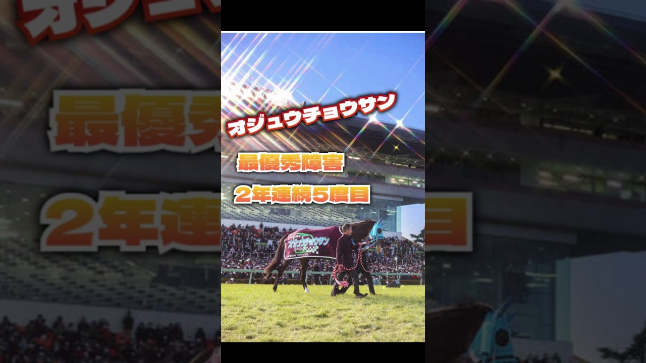 2022年 最優秀障害馬 オジュウチョウサン