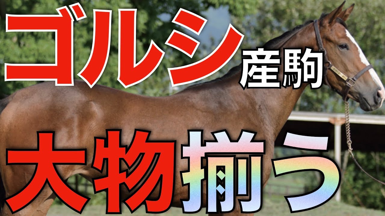 【狙える】今年はゴールドシップ産駒がクラシックを沸かせるか！牡馬に大物感あり。
