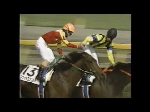 『外から音速の末脚が炸裂する！！』第６３回　東京優駿（日本ダービー）（ＧⅠ）　フサイチコンコルド 　藤田伸二　1996.6.2　出走馬：ダンスインザダーク、ロイヤルタッチ、イシノサンデー、ビワハイジ他