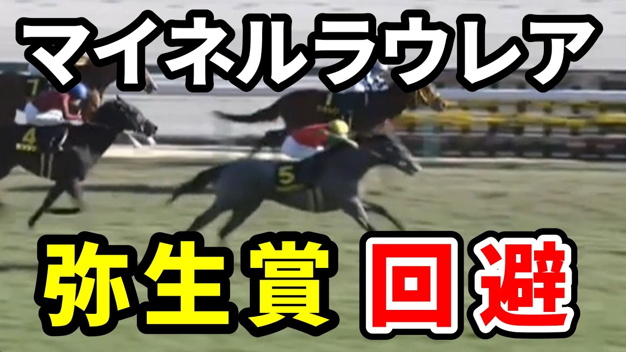 マイネルラウレアが弥生賞を回避　歩様の乱れ　今後のローテはどうなる？