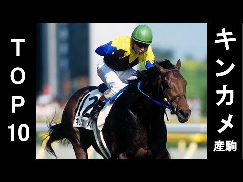 キングカメハメハ産駒TOP10