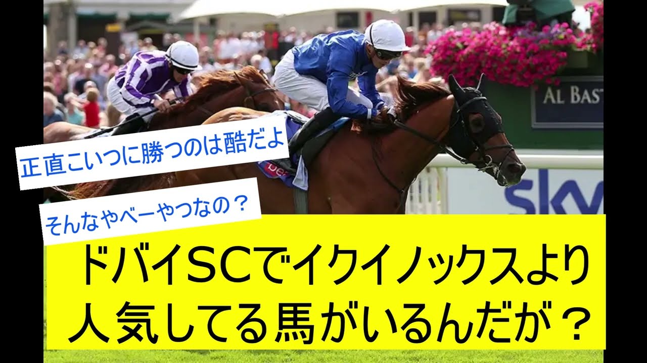 【競馬反応集】イクイノックスより人気してる馬がいるんだがそんなやばいやつなの？に対するみんなの反応　ドバイSC