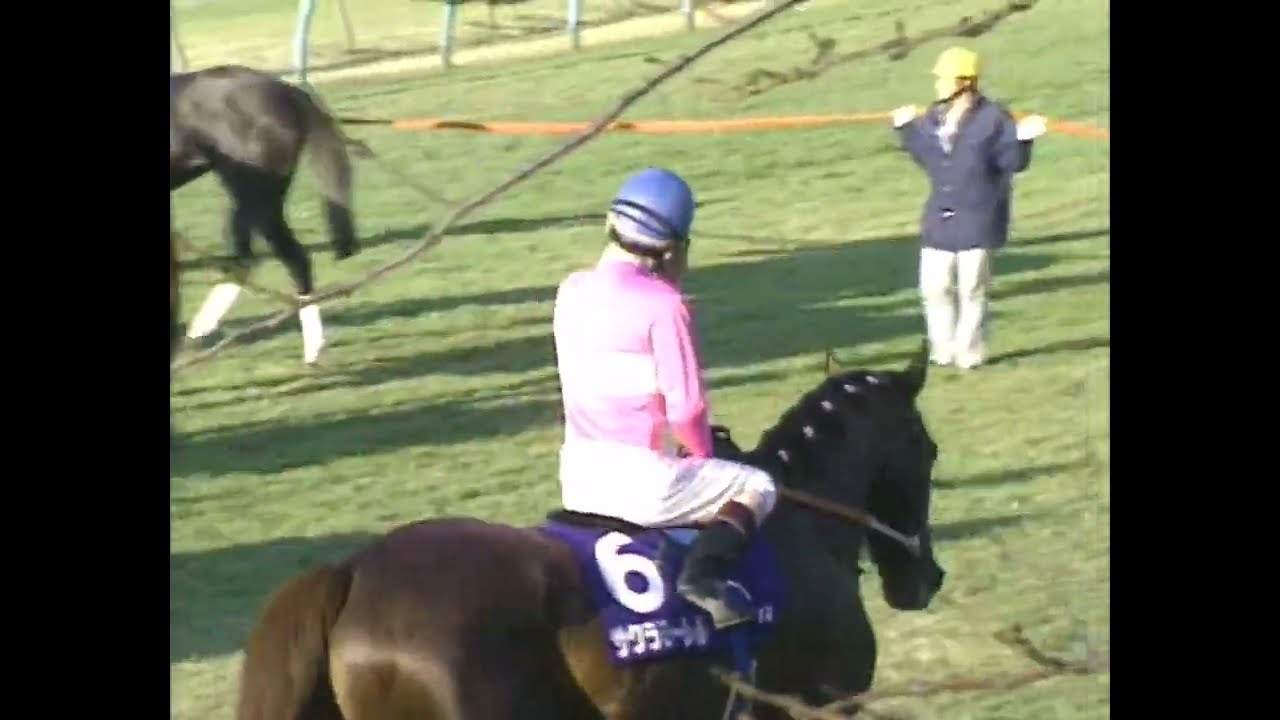 サクラローレル 1996年 第41回有馬記念(GI) (優勝馬：サクラローレル)