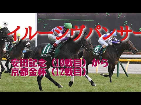 【現役競走馬】イルーシヴパンサー レースまとめ　10戦目安田記念から12戦目京都金杯
