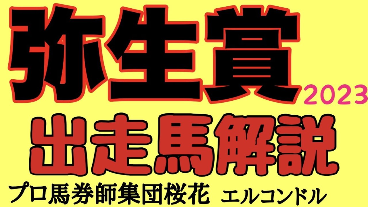 プロ馬券師集団桜花エルコンドル氏のディープインパクト記念弥生賞2023出走馬解説！！3着までに皐月賞優先出走権！春のクラッシック戦を見据えるうえで重要な一戦！クラッシックに向けて新たな主役現るか？！