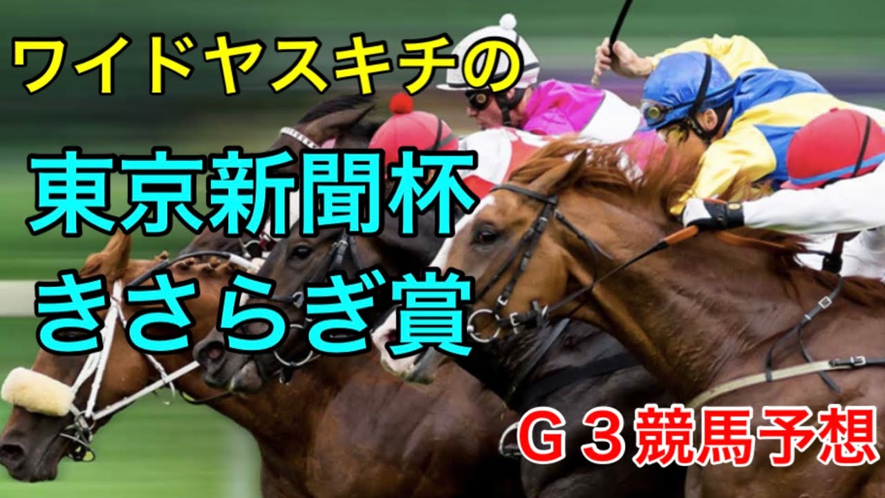 ワイドヤスキチの東京新聞杯.きさらぎ賞2023Ｇ３競馬予想