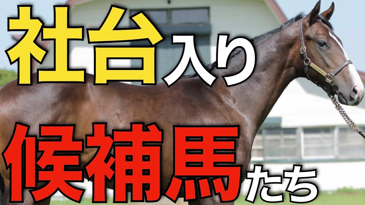 【大物揃い】次に社台入りしそうな現役馬は？種牡馬価値を感じる5頭。