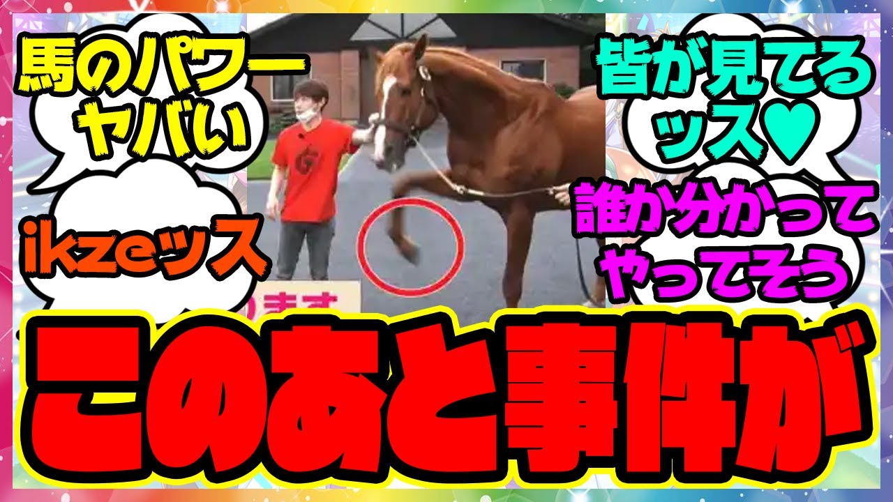 『池添騎手、オルフェーヴルと感動の再会がヤバすぎる』に対するみんなの反応 まとめ ウマ娘プリティーダービー レイミン