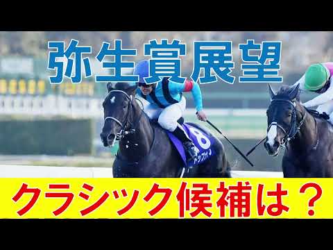 弥生賞 ディープインパクト 記念 2023 1週前展望　皐月賞で狙いたい馬は？