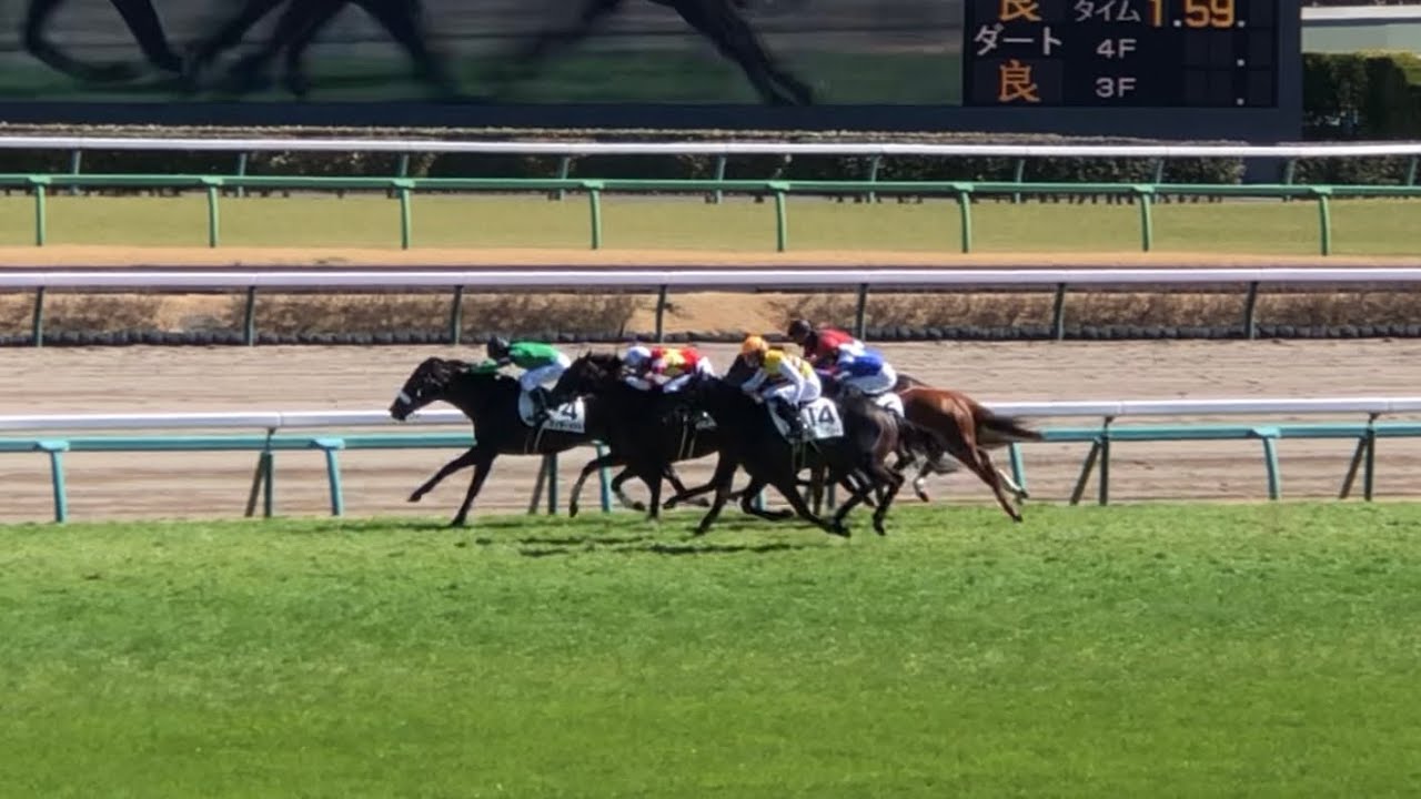 【現地】マイモーメント 3歳未勝利