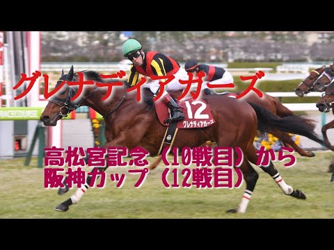 【現役競走馬】グレナディアガーズ　レースまとめ　10戦目高松宮記念から12戦目阪神カップ