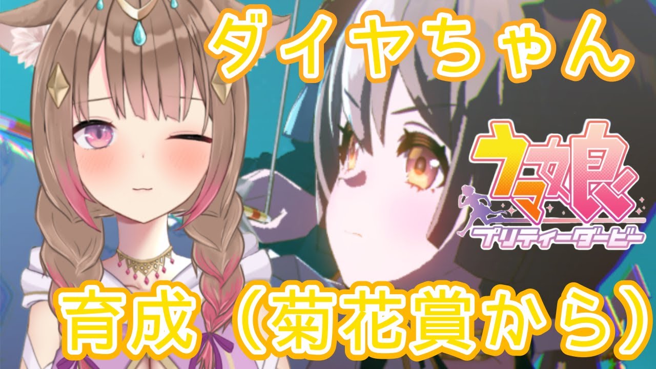 【#ウマ娘 / #新人vtuber 】ダイヤちゃんの育成後半！菊花賞からだよ💕ホッコータルマエ可愛すぎた✨