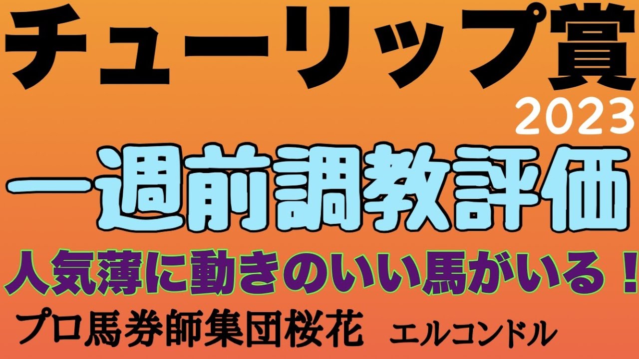 プロ馬券師集団桜花エルコンドル氏のチューリップ賞2023一週前調教評価！！桜花賞に向けた重要なレース！ドゥーラの出来は？人気薄の馬の中に高いポテンシャルを秘める馬がいる！