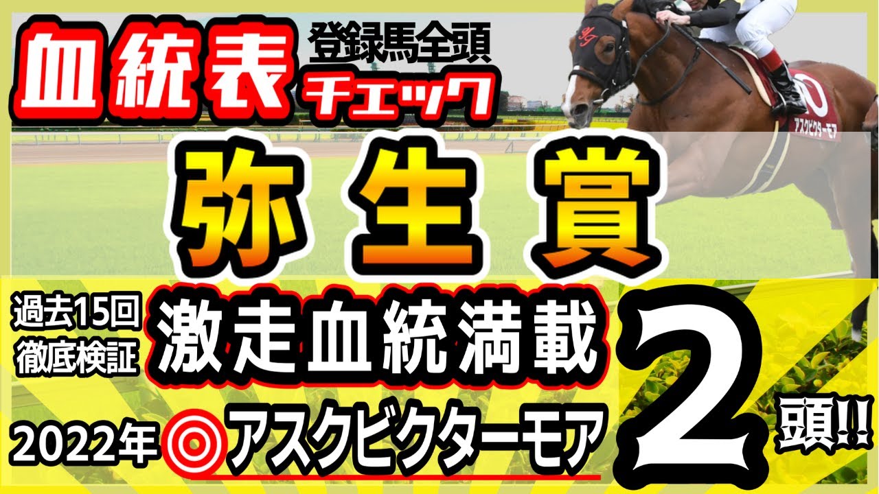 【弥生賞2023】クラシックの馬券にも直結の超重要レース！過去15回検証で導く知らないと損のお宝血統！高評価馬2頭！