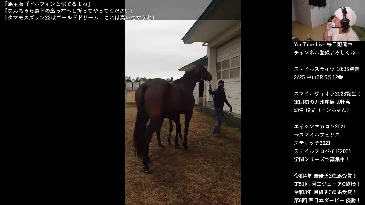 【ダービー馬主】元無職の地方競馬【そして伝説へ】