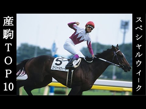 スペシャルウィーク産駒TOP10