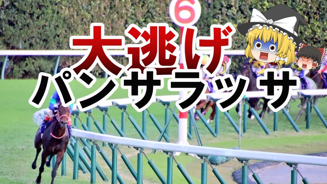【ゆっくり解説】パンサラッサについて絶対知っておきたい６つのこと【サウジカップ】