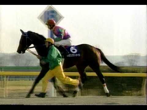 第18回フェブラリーS  (東京・G1) 2001/2/18 ウイングアローの再検量