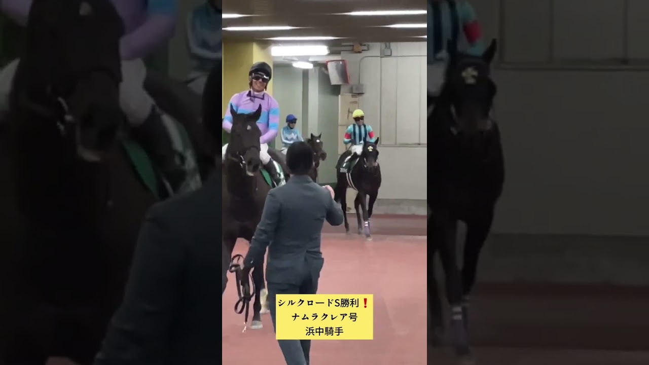 【浜中俊騎手】ナムラクレア号で、シルクロードS勝利❗️次は、高松宮記念だ🤜 #shorts