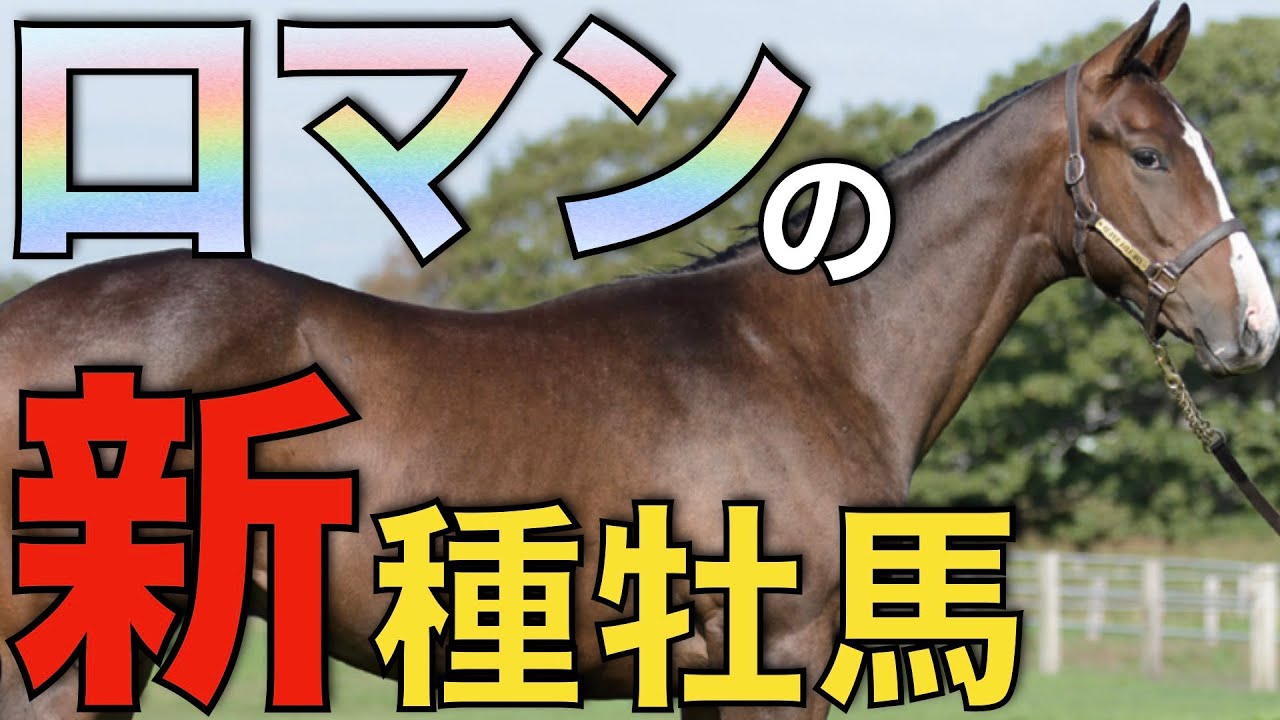 【記憶に残る】今年もロマンある新種牡馬たちが揃う！貴重な血を繋げるか。