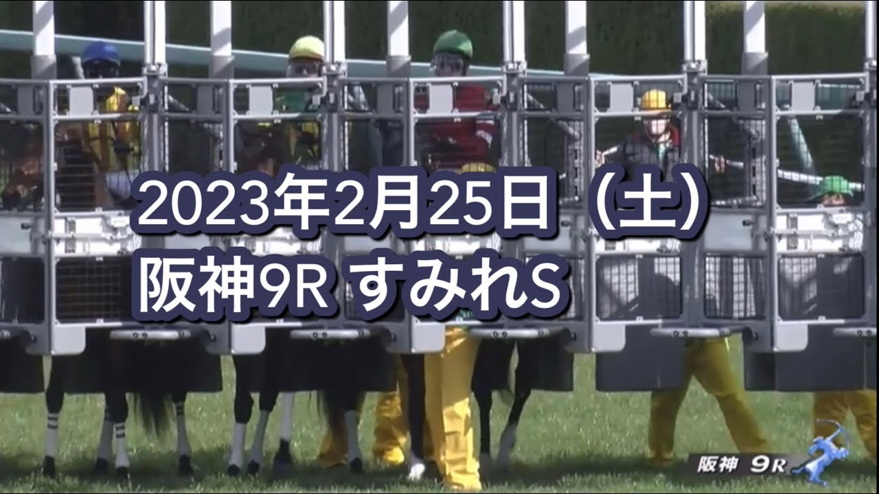 2023年2月25日（土）阪神9R すみれSレース映像【シャザーン】