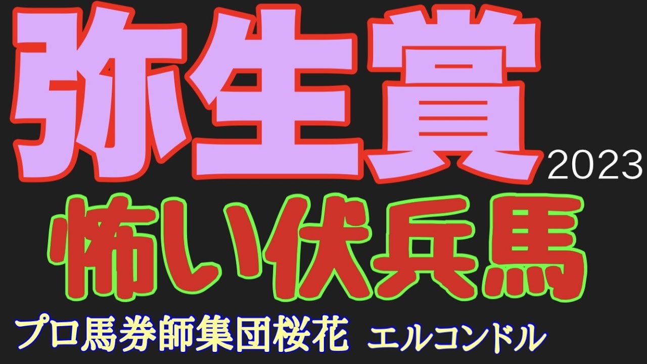 エルコンドルのディープインパクト記念弥生賞2023怖い伏兵馬！！トップナイフを中心に重賞実績のある馬もいるが未勝利や若駒ステークスからの出走馬も多く伏兵馬にも十分チャンスはあるメンバー構成なのでは！？