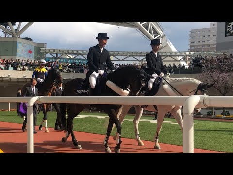 【G1馬8頭豪華メンバー　2019年大阪杯パドック】#マカヒキ　#ワグネリアン　#アルアイン　#キセキ　#ブラストワンピース　#エポカドーロ　#ペルシアンナイト　#ステルヴィオ