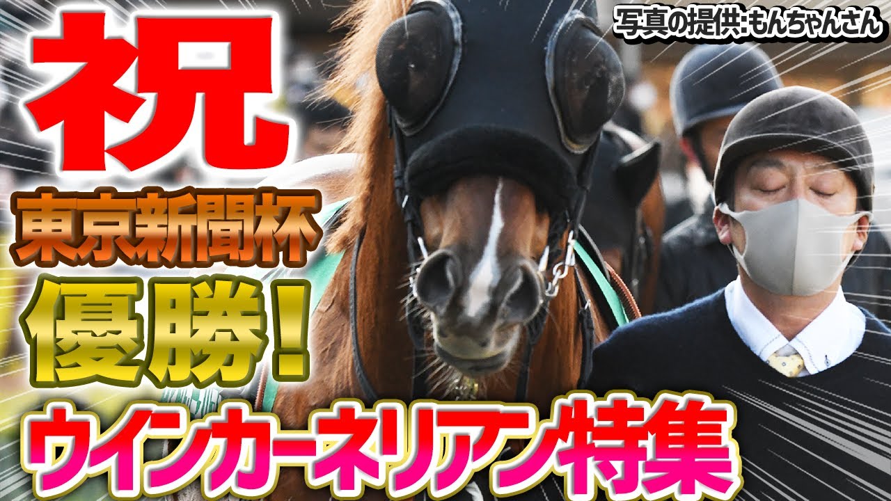 ウインカーネリアンが東京新聞杯を勝ったので、ちょっと重賞回顧とか牝系について思うところを語らせていただきたい【節約大全】vol.1002